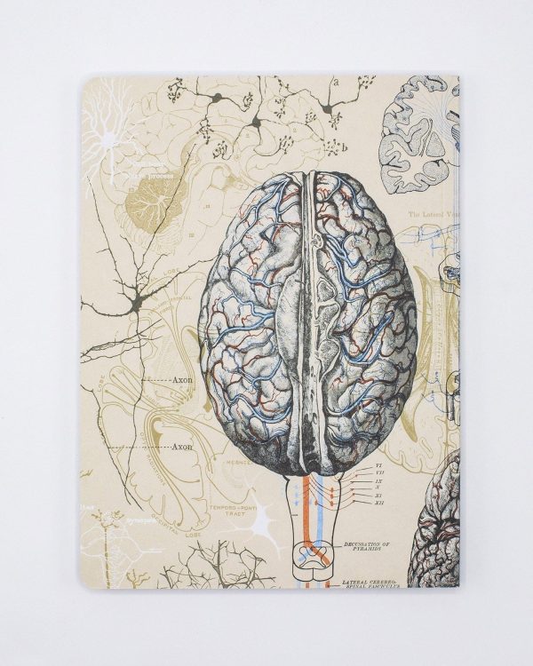Brain & Neuroscience Softcover Notebook - Lined Cheap - Image 2